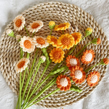 Load image into Gallery viewer, Small Daisy Flower Crochet Pattern
