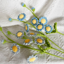 Load image into Gallery viewer, Small Daisy Flower Crochet Pattern
