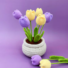 Load image into Gallery viewer, Tulip Flowerpot Crochet Kit Purple&amp;Yellow
