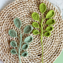 Load image into Gallery viewer, Eucalyptus Cinerea Crochet Pattern
