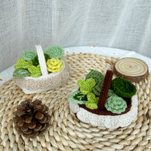 Load image into Gallery viewer, Mini Baskets Crochet Pattern Bundle
