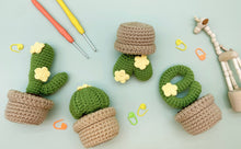 Load image into Gallery viewer, Cactus LOVE Crochet Pattern
