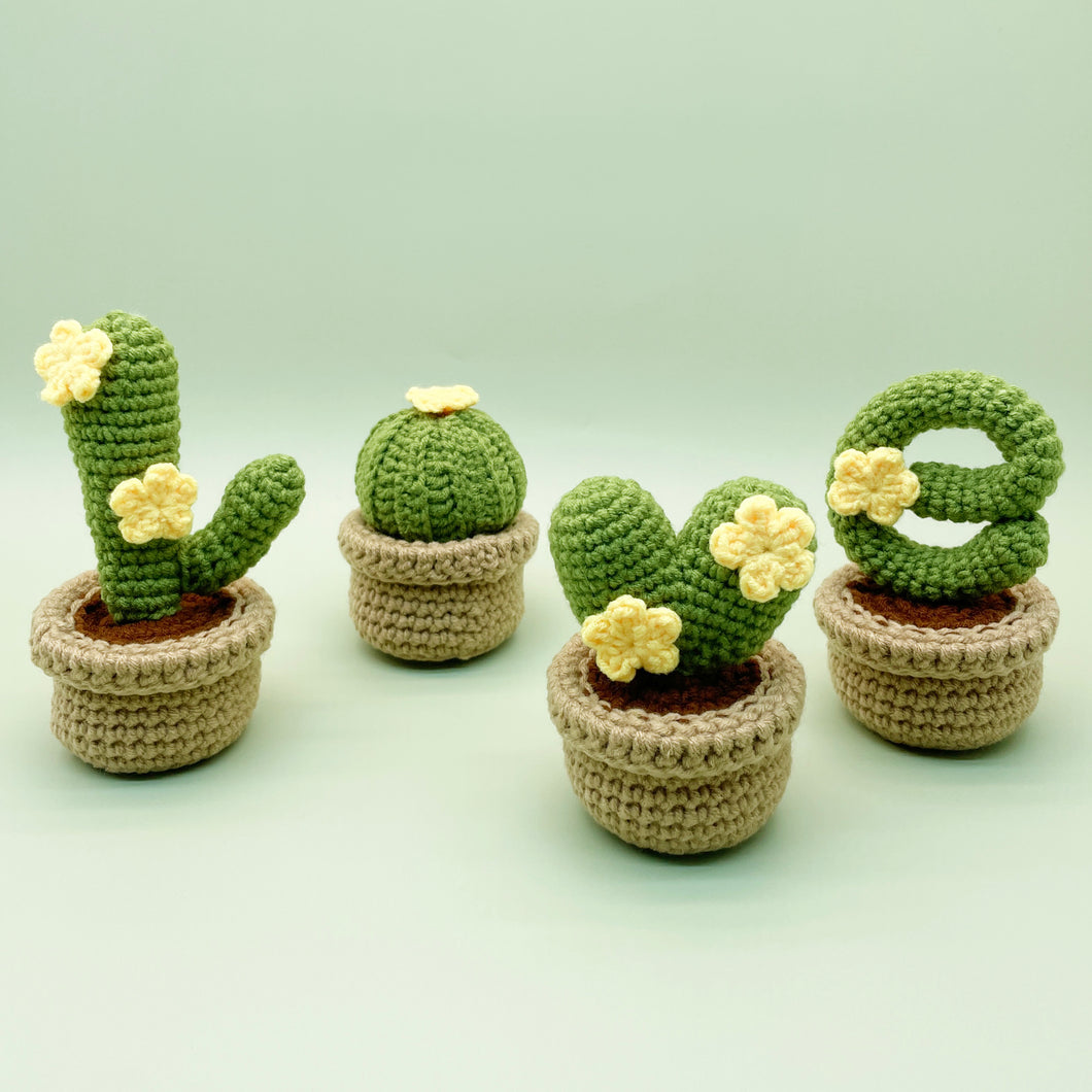 Cactus LOVE Crochet Kit