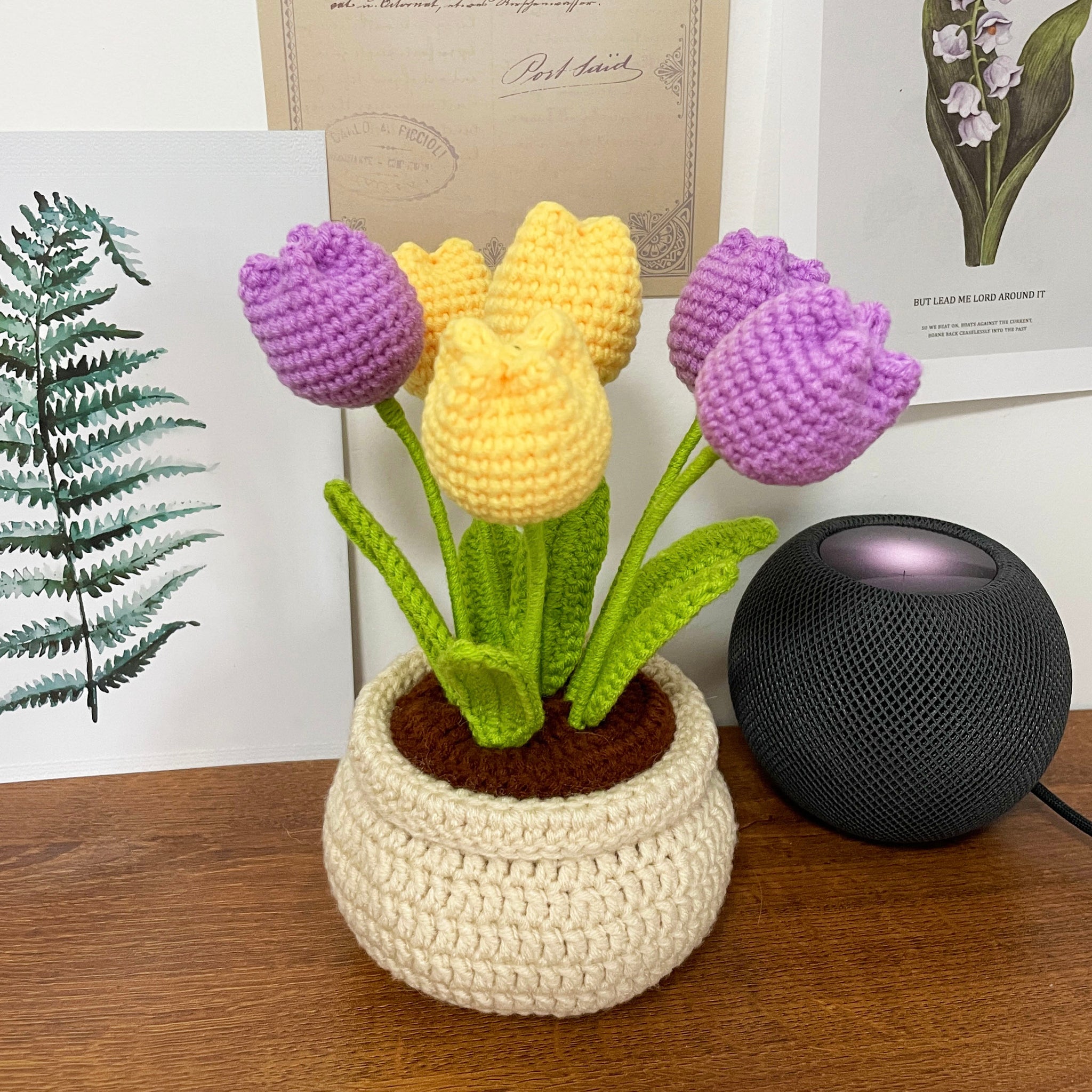 Handmade DIY Tulip Flowers Plant Potted Crochet Knitting Kit for