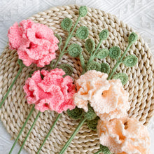 Load image into Gallery viewer, Carnation &amp; Eucalyptus Crochet Pattern
